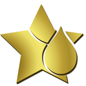 Logo NSHU