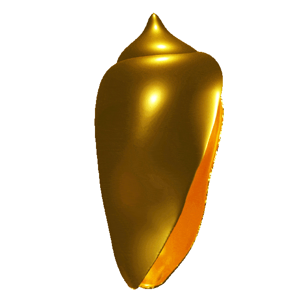 Nzimbu_Gold-ezgif.com-optimize