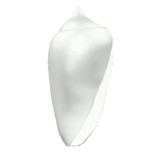 Nzimbu_Premium-ezgif.com-optimize